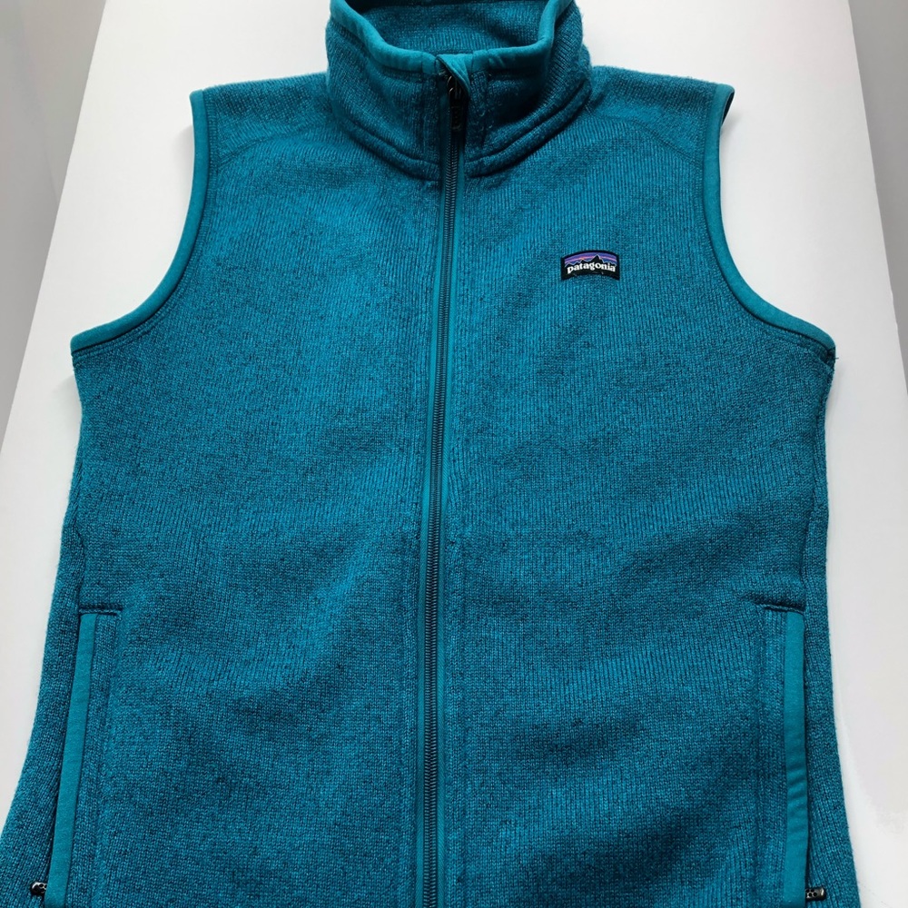 Patagonia vest size small blue